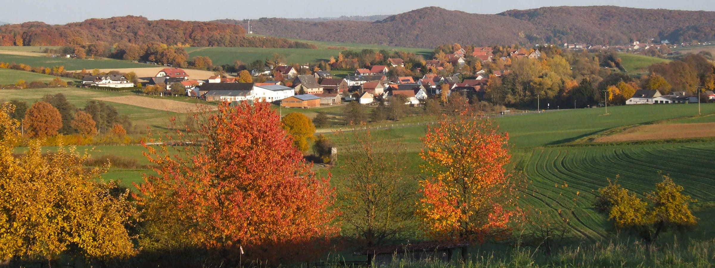 panorama-friebertshausen