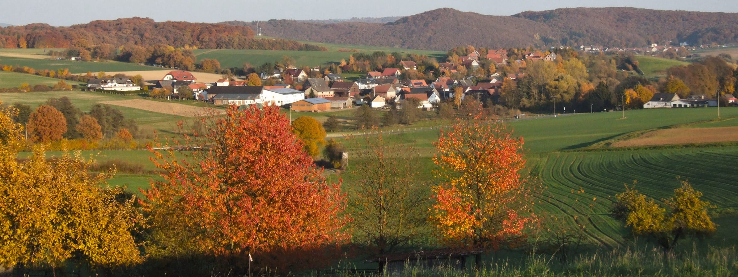 Panoramablick auf Friebertshausen